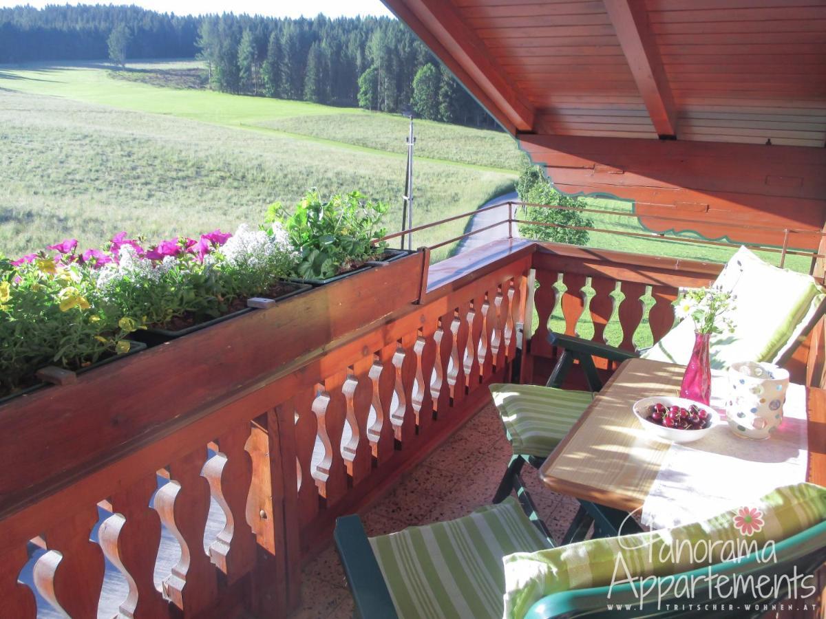 Panorama Appartement Ramsau am Dachstein Exterior foto