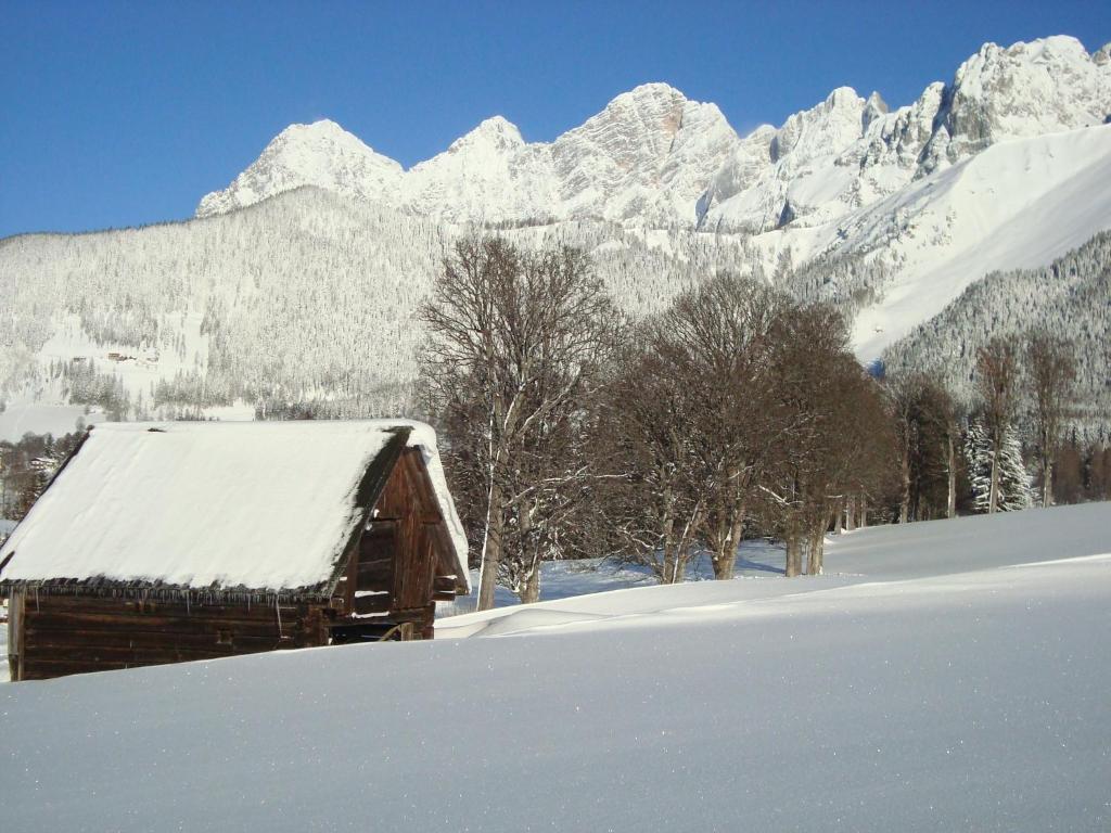 Panorama Appartement Ramsau am Dachstein Cameră foto